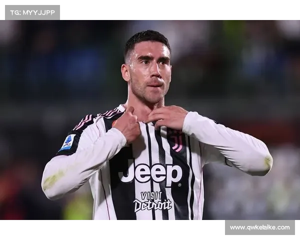 弗拉霍维奇成功的四个关键因素解析及其背后原因